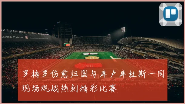 罗梅罗伤愈归国与库卢库杜斯一同现场观战热刺精彩比赛