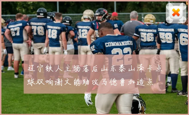 辽宁铁人主场落后山东泰山泽卡点球双响谢文能助攻马德鲁加造点
