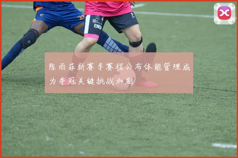 陈雨菲新赛季赛程公布体能管理成为夺冠关键挑战加剧