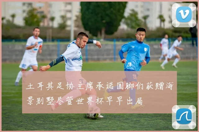 土耳其足协主席承诺国脚们获赠海景别墅尽管世界杯早早出局