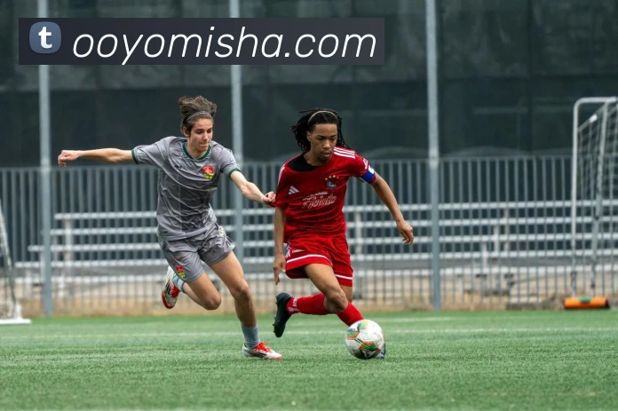 半岛在线网页版登录品牌故事